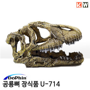 도핀 공룡뼈 장식품 U-714