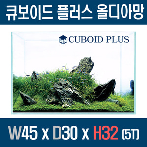 큐보이드 올디아망 플러스 45x30x32 (5T)
