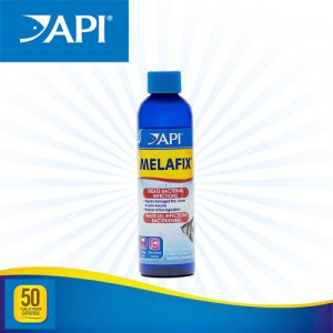 API 멜라픽스 118ml (세균관련 치료제)