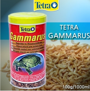 테트라 감마루스 (1L)