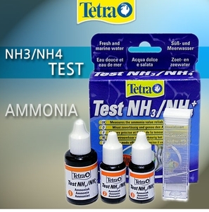 테트라 NH3/NH4(암모니아) 테스트